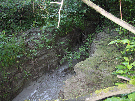 Загрязнение рек канализацией в Томском районе стало хроническим