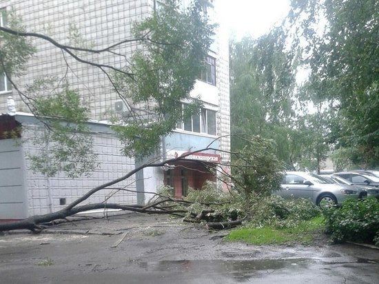 Ураган в Барнауле повалил деревья и повредил кровлю девятиэтажки