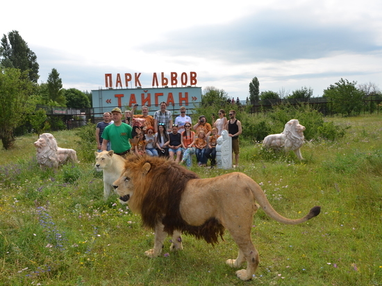 С уникальным сафари-парком и его обитателями познакомилась выпускающий редактор "МК Черноземье"