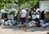 Июльская жара подогрела одну из медленно тлеющих симферопольских проблем – вывоз мусора с контейнерных площадок