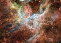 Специалисты, представляющие Кембриджский университет в Великобритании, представили новую теорию, объясняющую, откуда в Млечном пути появились самые быстрые из известных на сегодняшний день звезды