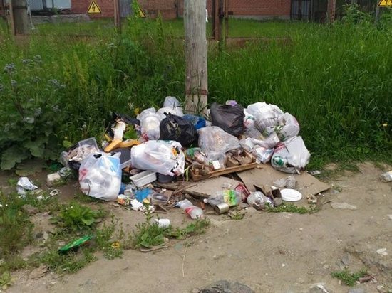 Ревда превращается в «мусорную столицу области»