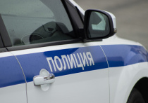 В Челябинской области задержан подозреваемый в убийстве 10-летнего мальчика, пропавшего еще в середине июня