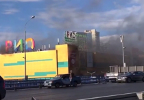 Корреспонденты «МК» проверили слух о гибели животных при пожаре в торговом центра "РИО" на Дмитровском шоссе 10 июля