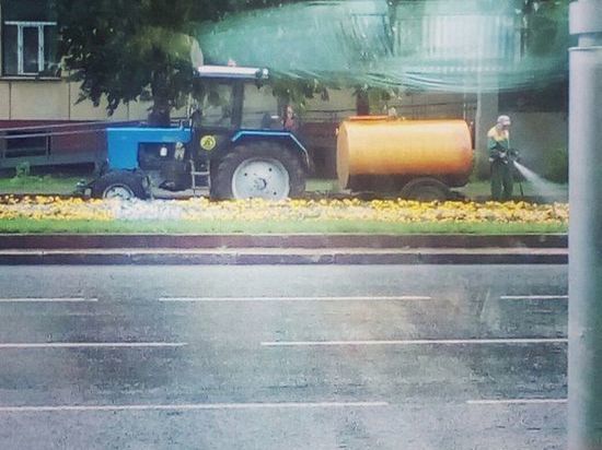 Кемеровский рабочий, поливающий клумбу в ливень, повеселил горожан 