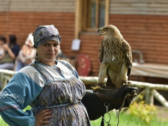 В Мичуринске открылся Соколиный двор с хищными птицами, занесенными в Красную книгу