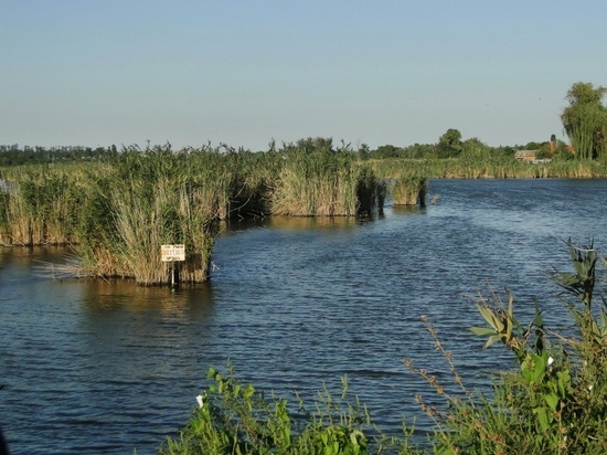 В Тоцком районе предприниматель ограничивал доступ к реке