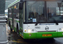 Общественный транспорт в районе Строгино получит новые направления