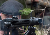 Пресс-служба внешнеполитического ведомства РФ детально разобрала печально известный НАТОвский ролик о прибалтийских "лесных братьях", разошедшийся по миру 11 июля