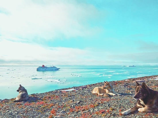 Кому сегодня в Арктике жить хорошо?