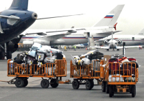 Совфед одобрил закон, отменяющий бесплатный багаж при покупке невозвратных авиабилетов  
