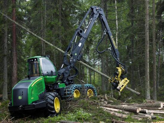 Почему в Карелии не работает пилотный проект интенсивного лесопользования. Часть вторая