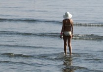 Резкое снижение температуры воды возле крымского побережья Черного моря, которое наблюдается в последние дни, связано со стремительным подъемом глубинных холодных вод