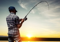 Лето — благодатное время для заядлых рыболовов