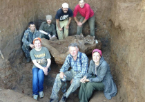 Пермские ученые в ходе экспедиции в Оханский район извлекли фрагменты скелета второго трогонтериевого слона, останки которого были обнаружены прошлым летом