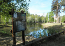 Одно из самых любимых мест отдыха пермяков – площадка «Золотые пески» в Черняевском лесу в этом году будет реконструирована