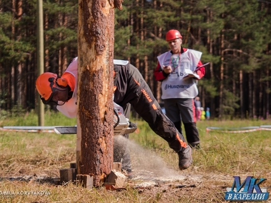 На минувших выходных под Чалной прошли очередные соревнования среди вальщиков леса «Лесоруб-2017»