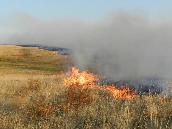В Оренбуржье за сутки сгорело 54 ,44 га степи 