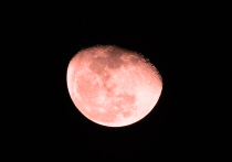 В ближайший понедельник после восьми часов вечера по московскому времени жители столицы могут увидеть, как луна частично приобретет бордово-красный оттенок
