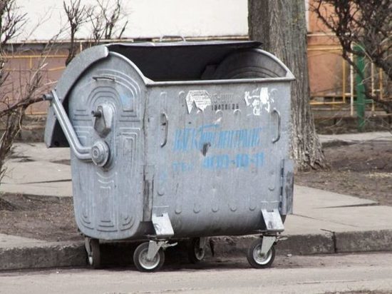СК возбудил уголовное дело по факту обнаружения младенца в мусорном баке в Обнинске