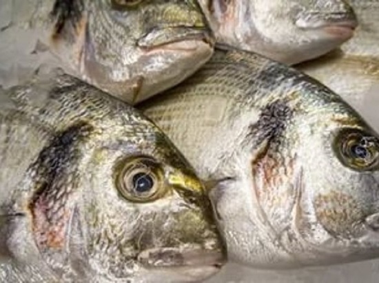 Более 5 тонн рыбной продукции забраковано за месяц в Калужской области 