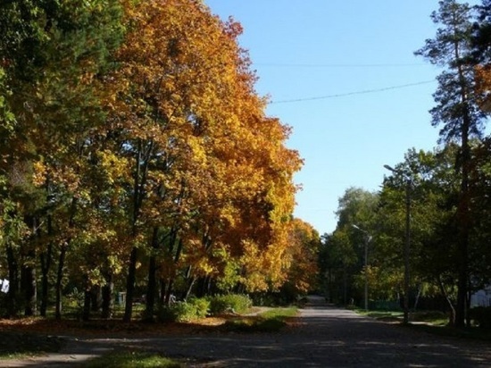 Первый в России "городской лес" Калужская область продемонстрирует в октябре  