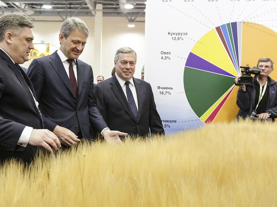 Четыре года донской регион бьет свои рекорды по урожаю ранних зерновых