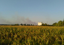 На Донбассе массово горят поля