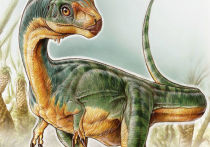 Специалисты, представляющие Кембриджский университет и Лондонский музей естественной истории, изучили весьма необычные останки динозавра, обнаруженные пару лет назад