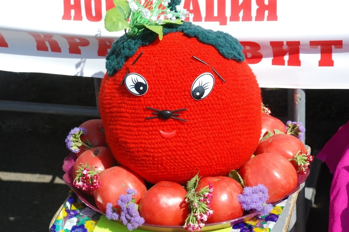 Минусинский чемпион помидор
