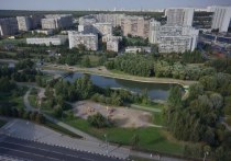 Проект благоустройства этой территории обойдется в 34 млн рублей
