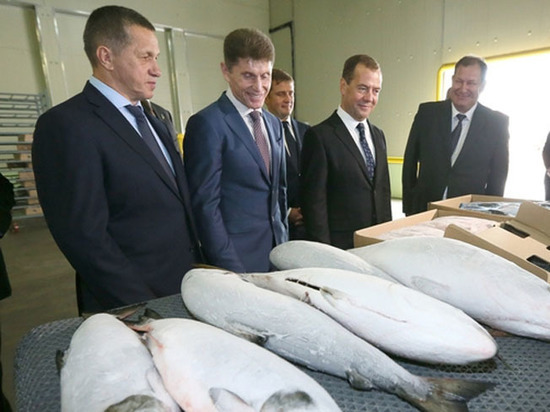 Глава правительства презентовал на Сахалине новые меры поддержки рыбохозяйственной отрасли