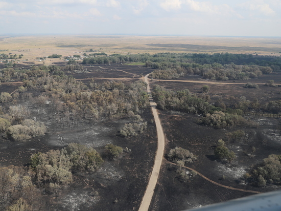 В Иловлинском районе произошел крупнейший природный пожар за последние  30 лет