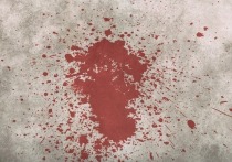 Подробности кровавой резни в магазине в подмосковном Железнодорожном, где 19 августа мужчина исполосовал ножом свою бывшую жену, стали известны «МК»