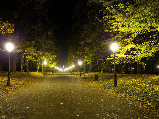 Подростки разбили четыре фонаря в городском парке Гая Оренбургской области