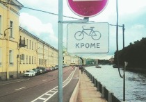 В этом месяце в центре Петербурга наконец-то появились велодорожки и велополосы