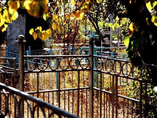 На новом кладбище в Тамбове будут места для VIP-захоронений