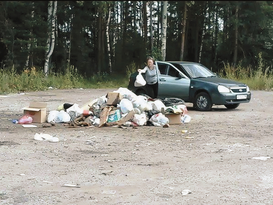 В Подмосковье продолжают устраивать засады на тех, кто незаконно выбрасывает мусор 
на подмосковных дорогах