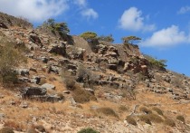 На острове Крит неподалеку от городка Кисамос международной группе исследователей удалось обнаружить следы древних живых существ, относящихся к гомининам — тому же подсемейству, что и люди