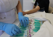 За последние пять лет охват жителей Татарстана вакцинацией против гриппа увеличился с 22 до 34 процентов, что позволило более чем на порядок уменьшить число заболевших