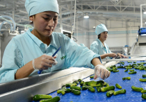 Президент Кыргызской Республики Алмазбек Атамбаев на днях посетил новопавловский завод по производству консервированных фруктов и овощей