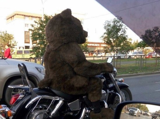«Американцам не показывайте»: по Барнаулу ездит «медведь» на байке
