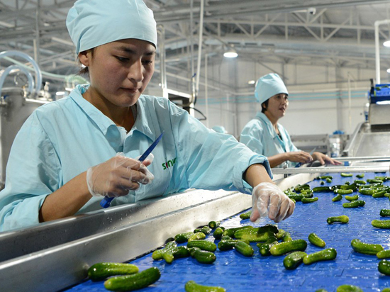 В Кыргызстане открылся завод по производству консервированной продукции