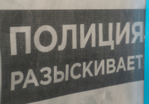 Трое российских граждан, состоящих в украинском «Правом секторе» (организация запрещена в РФ) заочно арестованы в России и объявлены в международный розыск. В их числе глава пресс-службы организации Артем Скоропадский. 