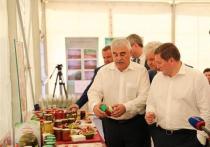 Амбициозную задачу – 2,5 млн тонн овощной продукции к 2025 году – поставили себе в план волгоградские аграрии.