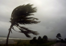Ураган «Ирма», несколько дней бушующей в Атлантическом океане, в воскресенье, 10 сентября, приблизился к американскому штату Флорида