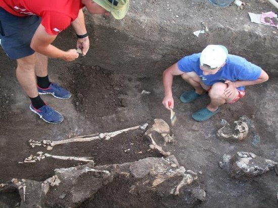 Два древних захоронения нашли в Ростовской области