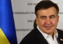 Бывший президент Грузии и глава Одесской области Михаил Саакашвили заявил украинским СМИ, что вернулся на Украину специально для того, чтобы добиться проведения досрочных парламентских и президентских выборов, которые приведут к власти новый политический класс