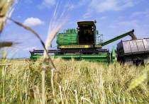 В этом году Россию ждет отменный урожай зерна, который, по прогнозам Минсельхоза,  может достичь планки в 110 млн тонн