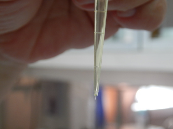 Лечение наноаэрозолями разрабатывают ученые из Пущино